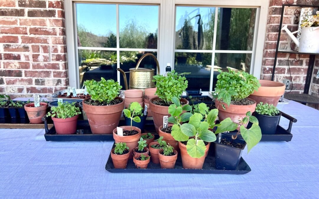 Cultivating Intentional Living: The ChicMamas Approach