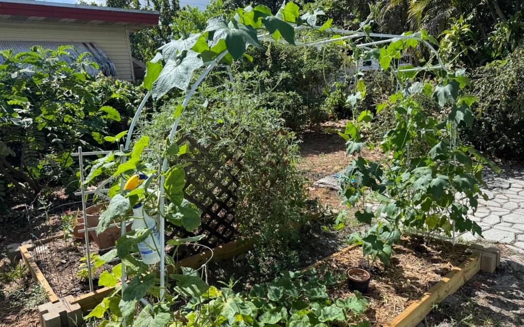Elevate Your Garden: Vertical Gardening