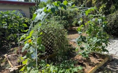 Elevate Your Garden: Vertical Gardening